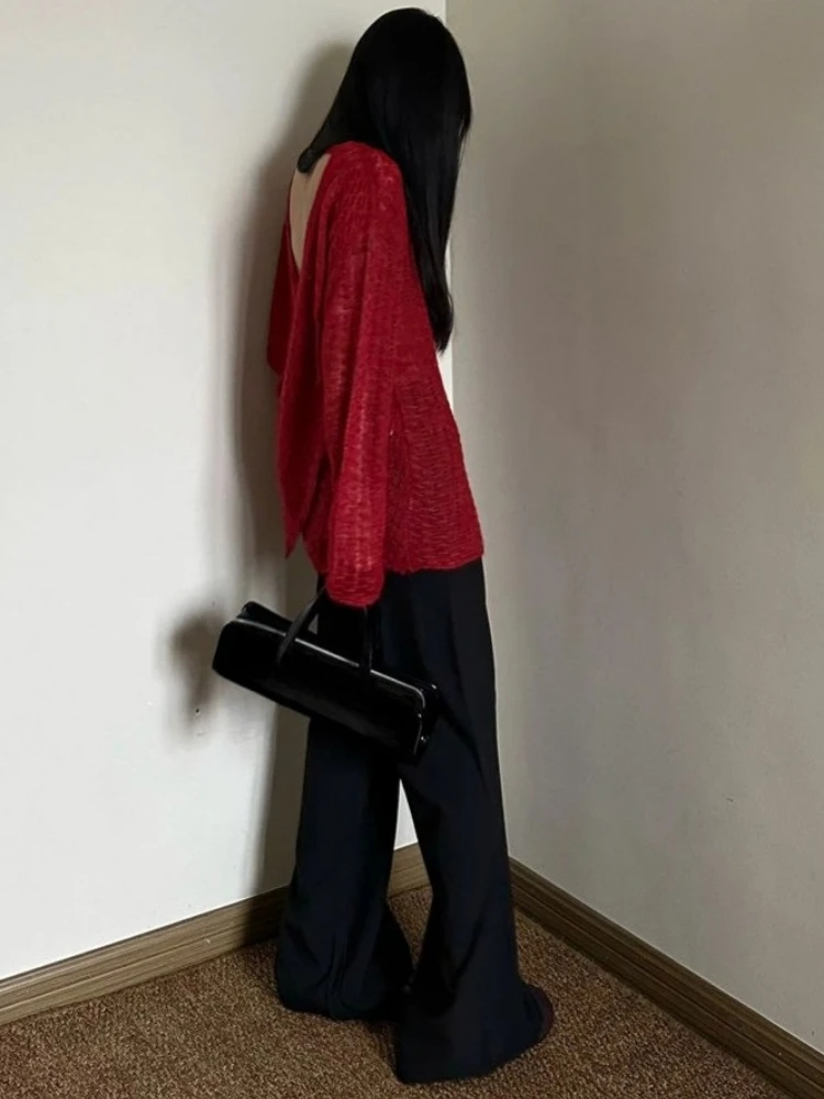 Camiseta de punto transparente - Vintage Fashion reseña y precio